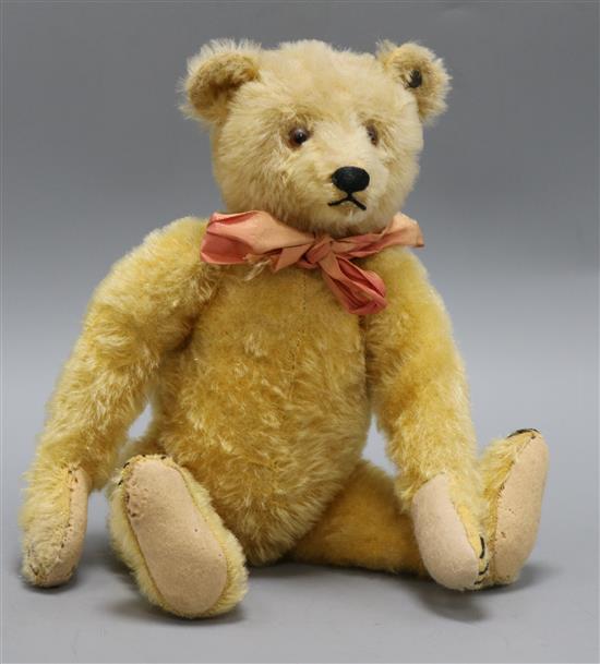 A 1920s Steiff teddy bear, Rachel, with golden mohair, brown and black glass eyes, pronounced muzzle, black